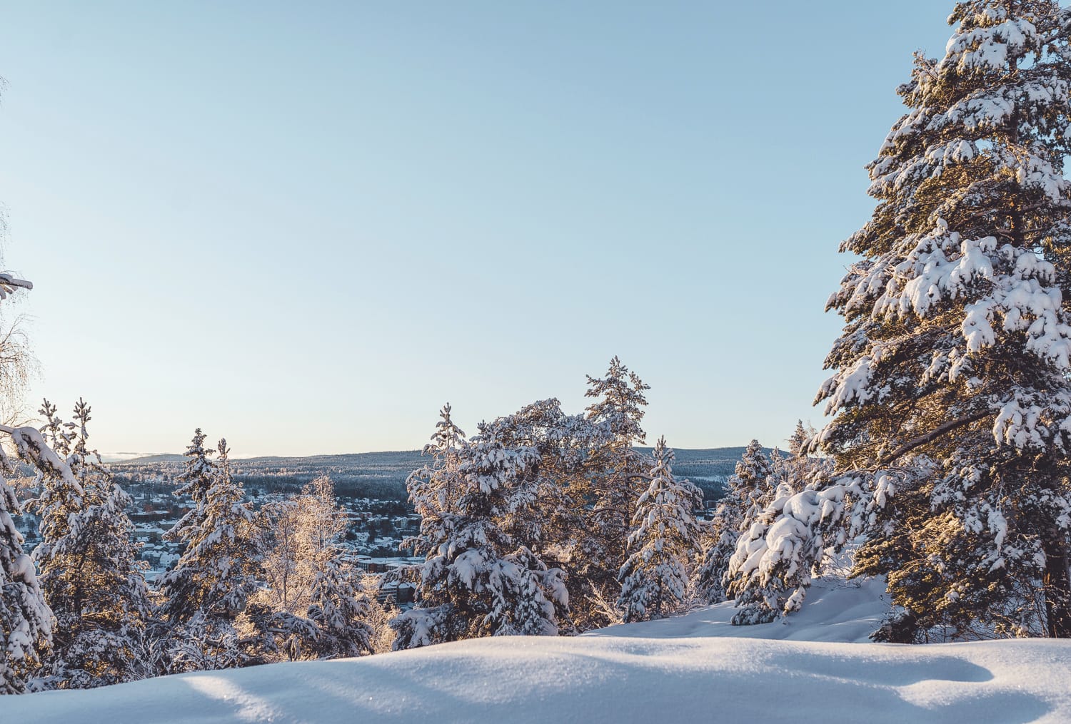 Vinter på norra berget, Sundsvall | Photo © Rania Rönntoft | Northbound Journeys | www.northboundjourneys.com