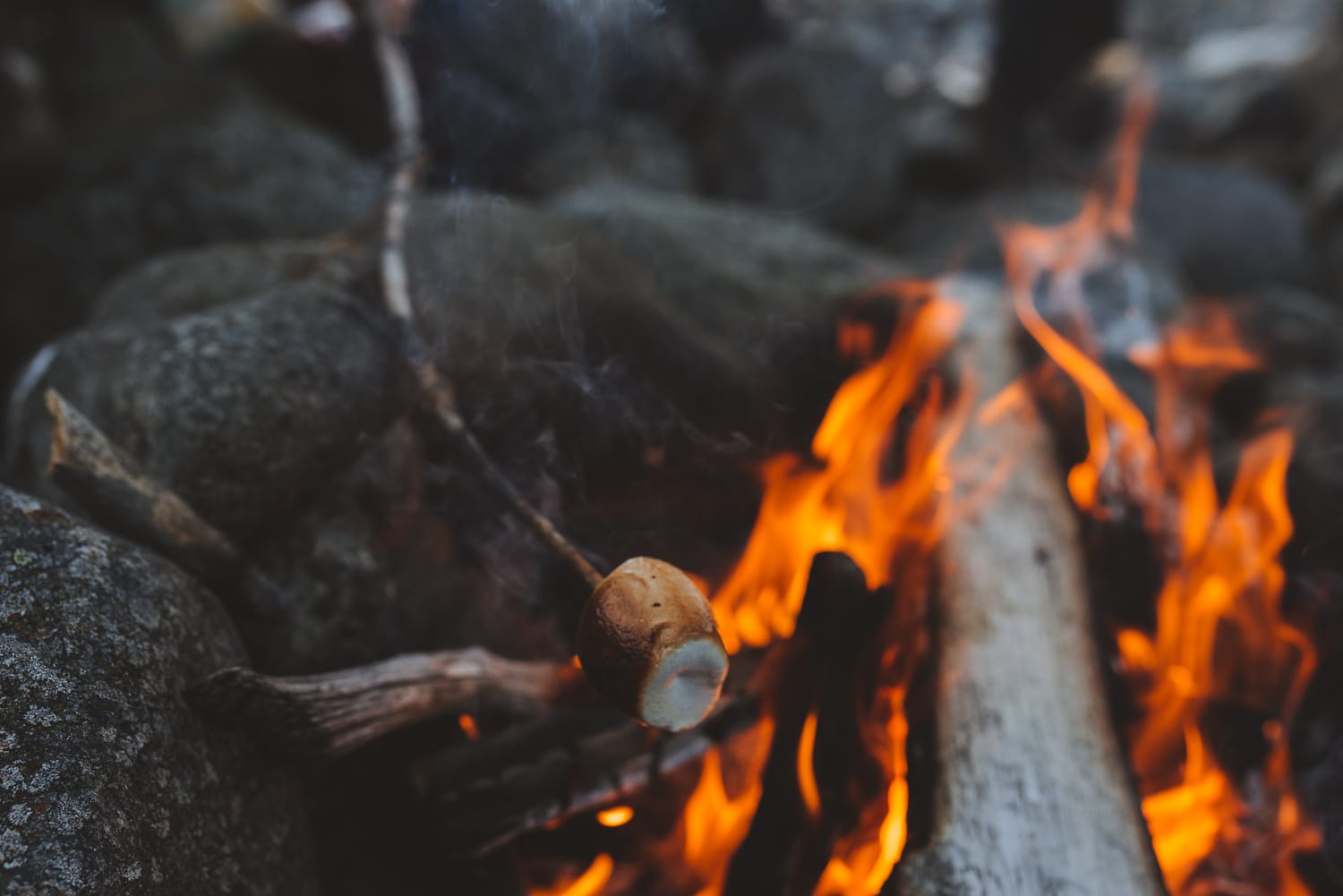 marshmallow roasting over fire