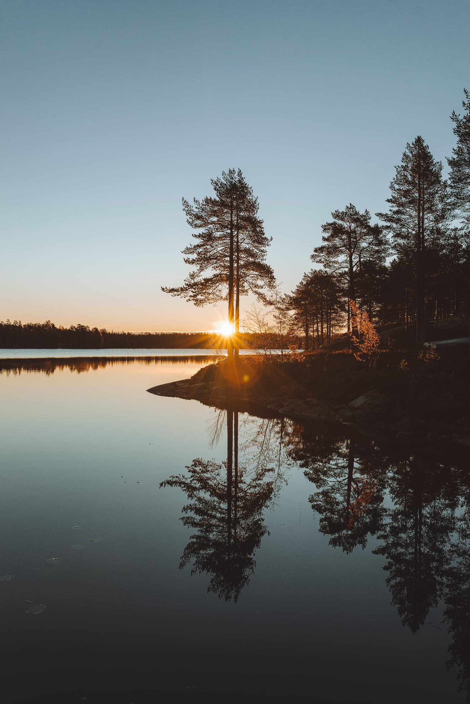 a lake and trees during sunrise