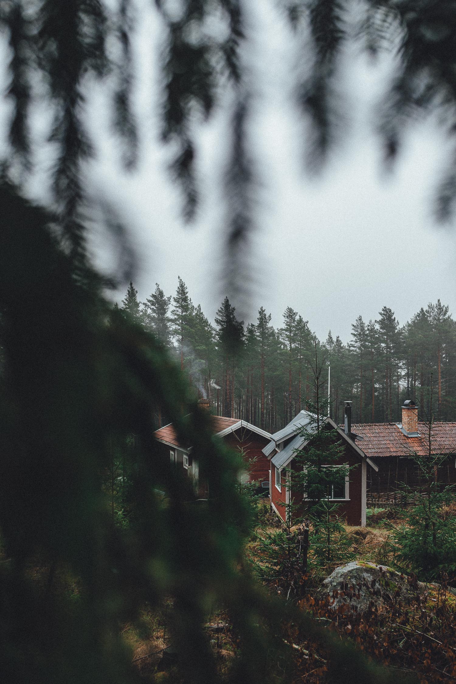 Swedish cabin in the woods