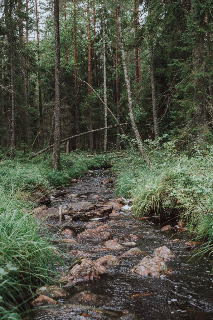 Weekend in Dalarna - Örjasänget Naturreservat