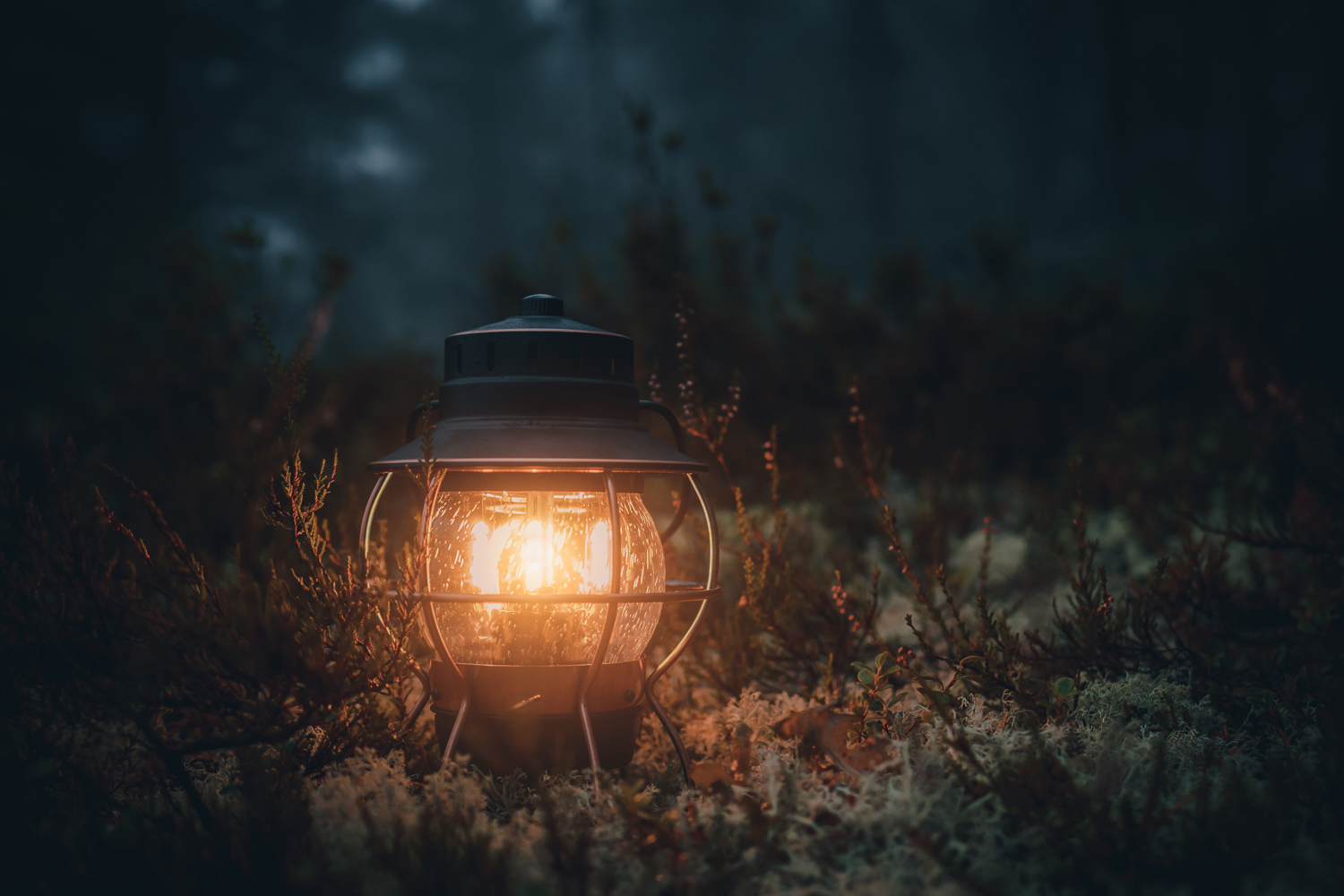 Lantern glowing in a misty evening forest