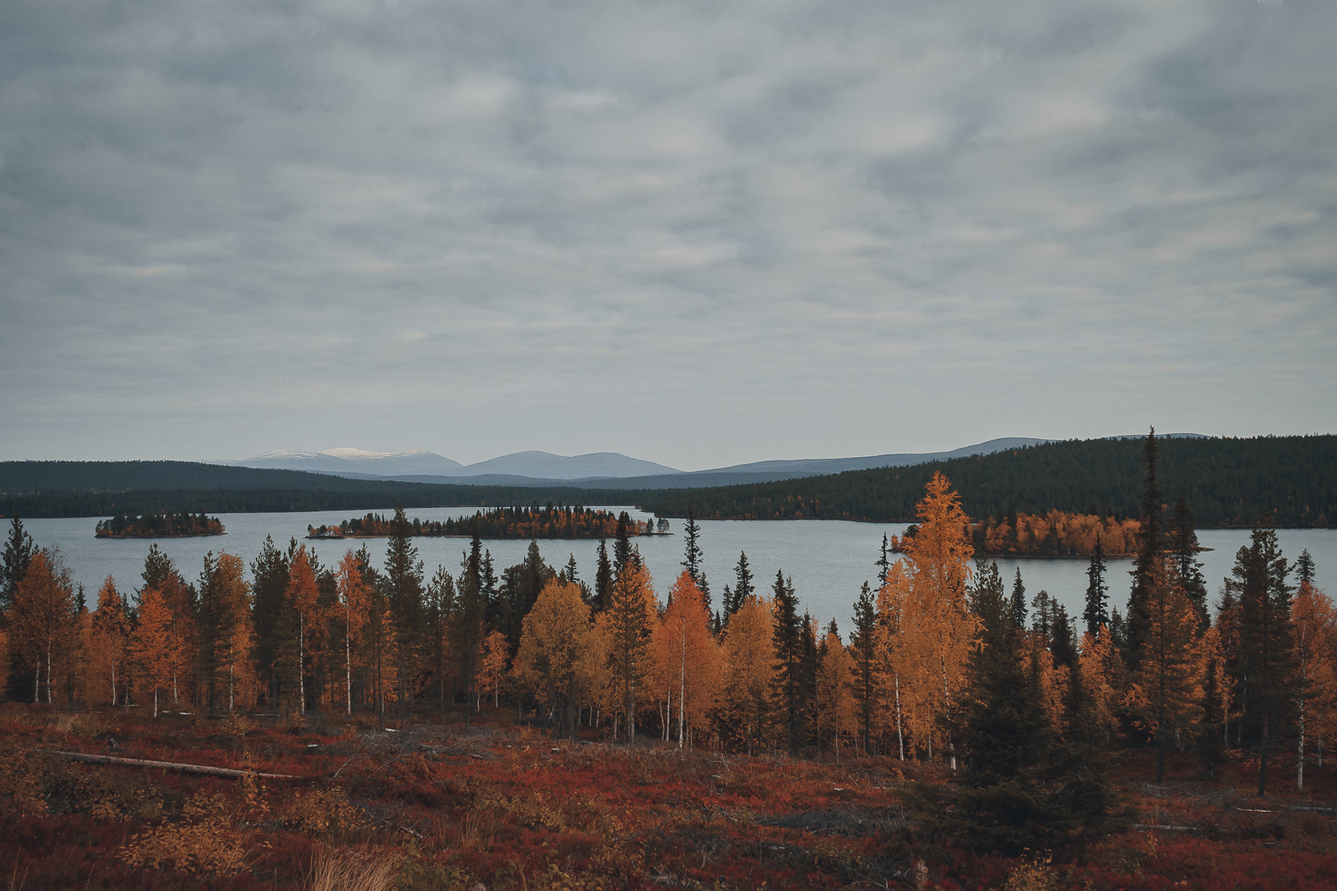 Finnish Lapland landscape in ruska colors