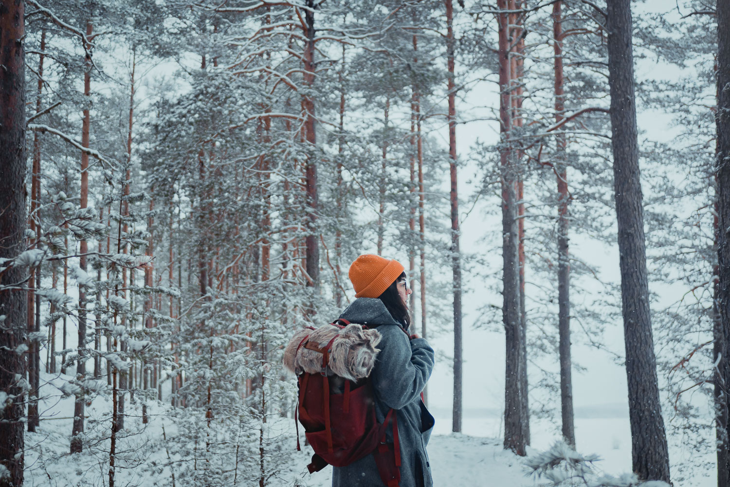 woman hiking in winter forest