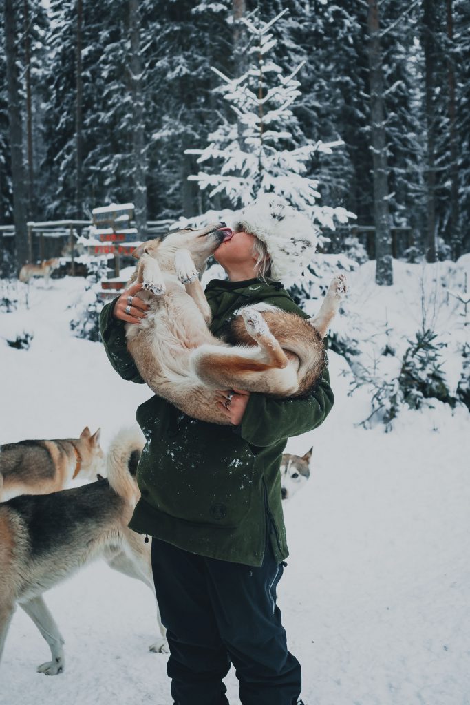 woman carrying a husky